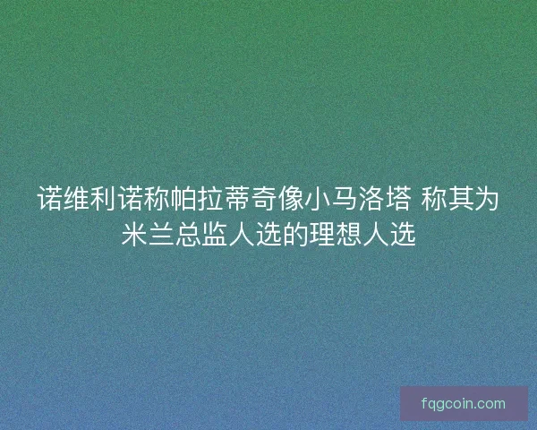 诺维利诺称帕拉蒂奇像小马洛塔 称其为米兰总监人选的理想人选 诺维利诺称帕拉蒂奇像小马洛塔 称其为米兰总监人选的理想人选