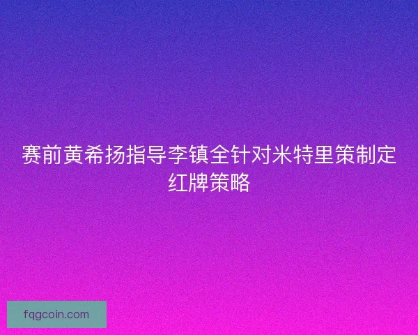赛前黄希扬指导李镇全针对米特里策制定红牌策略